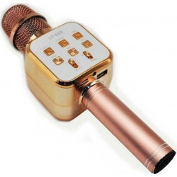 Microphone karaoke LY-889