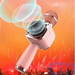 Mikrofonas karaokė C500 2