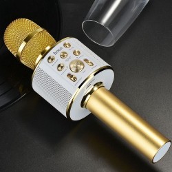 HOCO karaoke microphone gold 2