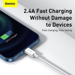 Kabelis Baseus USB - Lightning CALYS-A02 2