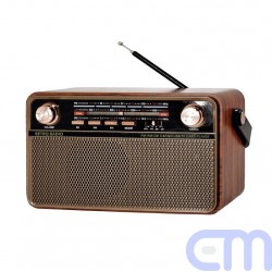 Radio FM retro style